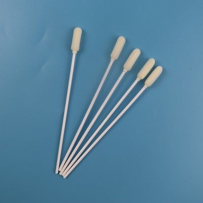 écouvillon oral stérile médical d'échantillonnage de grand chef rond de 6mm jetable