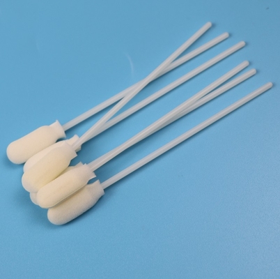 Les ABS collent l'écouvillon de échantillonnage jetable de grande astuce ronde de mousse de 10cm stérile