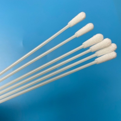 145 mm de long OEM écouvillon stérile jetable sans point de rupture 6 mm écouvillon de collecte de la tête
