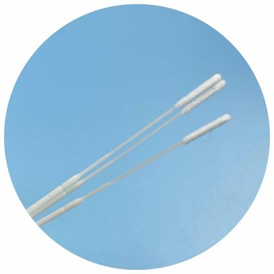 Écouvillon d'échantillonnage stérile au gaz EO avec pointe en nylon floquée - 150 mm de long, conception avec point de rupture, certifié CE pour les tests médicaux/pharmaceutiques