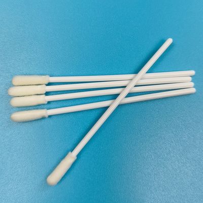Tige PP 8cm, bout mousse rond, écouvillon de prélèvement de surface, écouvillon de collecte d'échantillons pour le contrôle environnemental, pour l'alimentaire