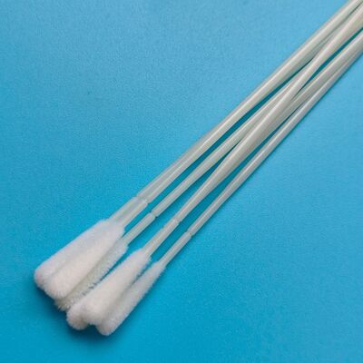 Swab de prélèvement en nylon à base de bâton ABS jetable en nylon floqué Swab oral Swab stérile de collecte d'échantillons Swab avec emballage individuel
