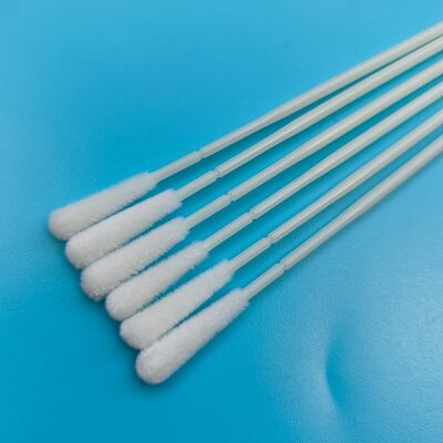 Swab de prélèvement en nylon à base de bâton ABS jetable en nylon floqué Swab oral Swab stérile de collecte d'échantillons Swab avec emballage individuel