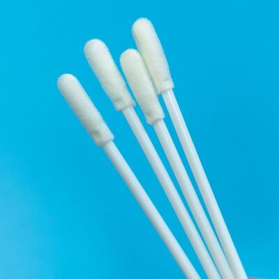 8 cm jetable blanc PP bâton stérile pointe en mousse écouvillon VTM Kit test de grippe écouvillon oral écouvillon de test environnemental écouvillon d'échantillonnage de surface
