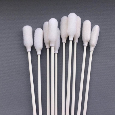 Écouvillons oraux jetables de mousse, écouvillons médicaux de mousse avec le bâton blanc de pp