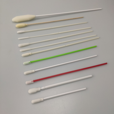 la collection de spécimen ouverte d'éponge de cellules de 135mm tamponne sans la fluorescence