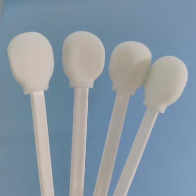 La tête ronde d'éponge pp que blancs collent l'astuce de mousse tamponne la forme de lucette