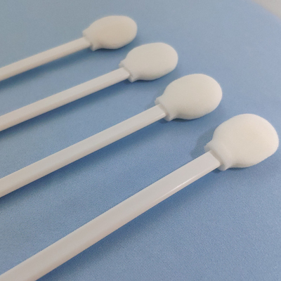 La tête ronde d'éponge pp que blancs collent l'astuce de mousse tamponne la forme de lucette