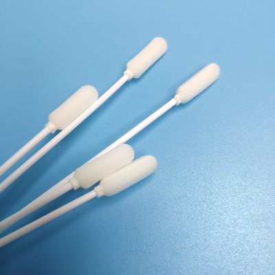 ODM 14cm pp collent l'écouvillon jetable d'échantillonnage de chef d'éponge