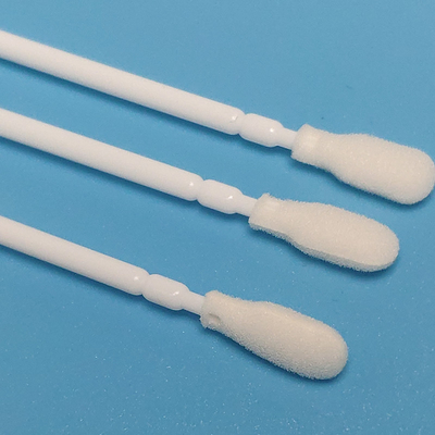 Écument l'écouvillon nasal rassemblé par individu oral de collection de bouche d'astuce, prélevant l'écouvillon assemblé