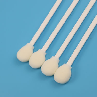 Pp blancs collent l'écouvillon nasopharyngal rond de collection de spécimen de l'astuce COT de mousse