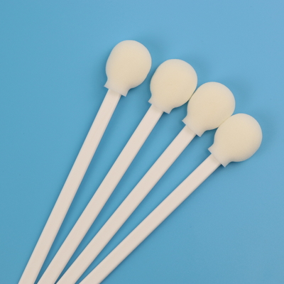 Pp blancs collent l'écouvillon nasopharyngal rond de collection de spécimen de l'astuce COT de mousse