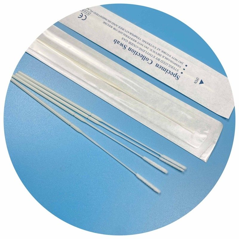 Écouvillon d'échantillonnage stérile au gaz EO avec pointe en nylon floquée - 150 mm de long, conception avec point de rupture, certifié CE pour les tests médicaux/pharmaceutiques